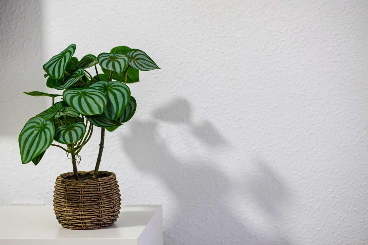 Apartamento Heroes De Sostoa Màlaga Exteriér fotografie